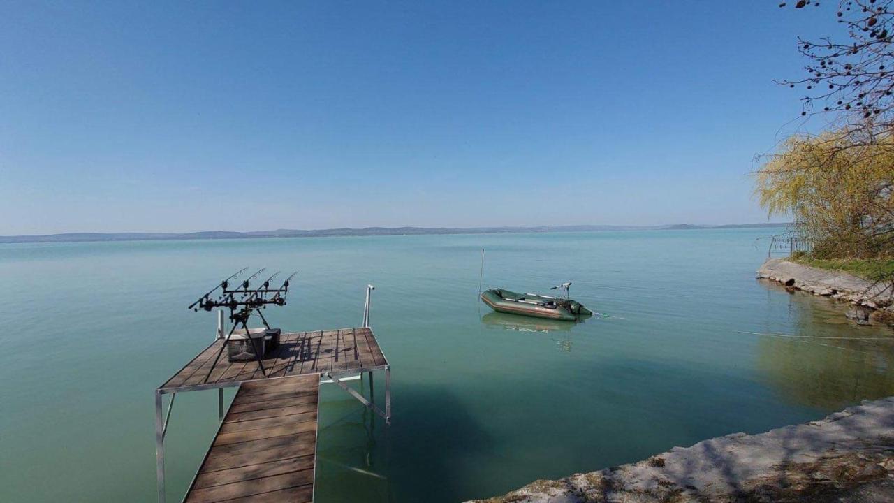 Topartihaz بالاتونسزارسكو المظهر الخارجي الصورة